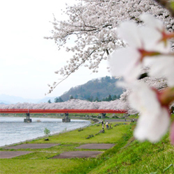 kankou3